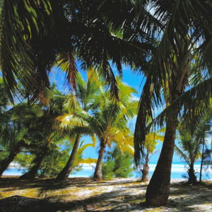 Sanctions and Asset Freezing - Policy and Compliance - PIMFA