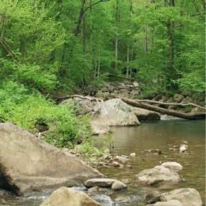 Sanctions and Asset Freezing - Policy and Compliance - PIMFA