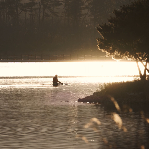 Markets in Financial Instruments Directive