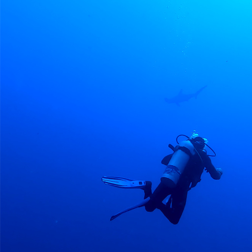 Financial Services Compensation Scheme